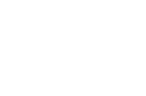 Swallows